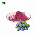 100% Natural fruit powder Blueberry juice powder,Wild Blueberry Juice Powder, fruit juice powder